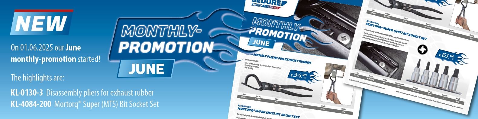 Presentation of the monthly promotion with price.