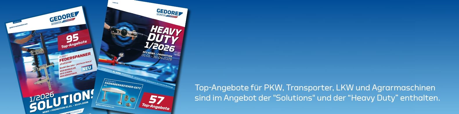 PDF der PKW Aktion Solutions