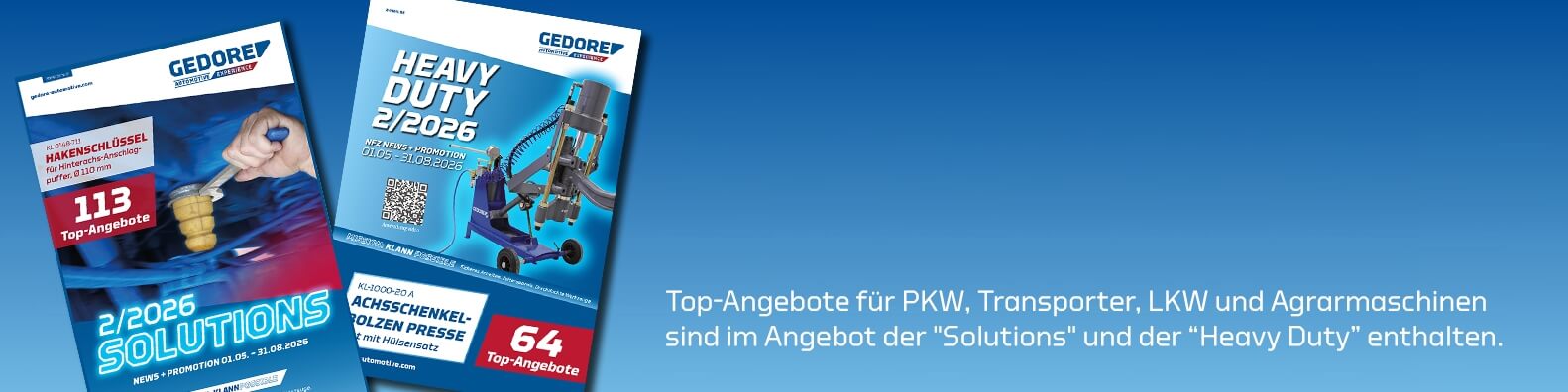 PDF der PKW Aktion Solutions