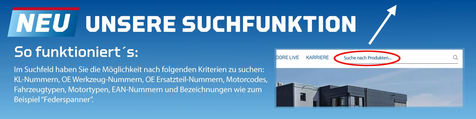 Beschreibung Suchfunktion auf der Seite rechts oben